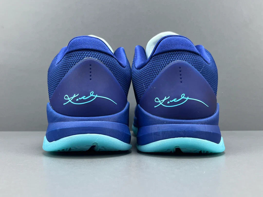 X-RAY 5