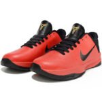 ALL STAR 5 - Image 2